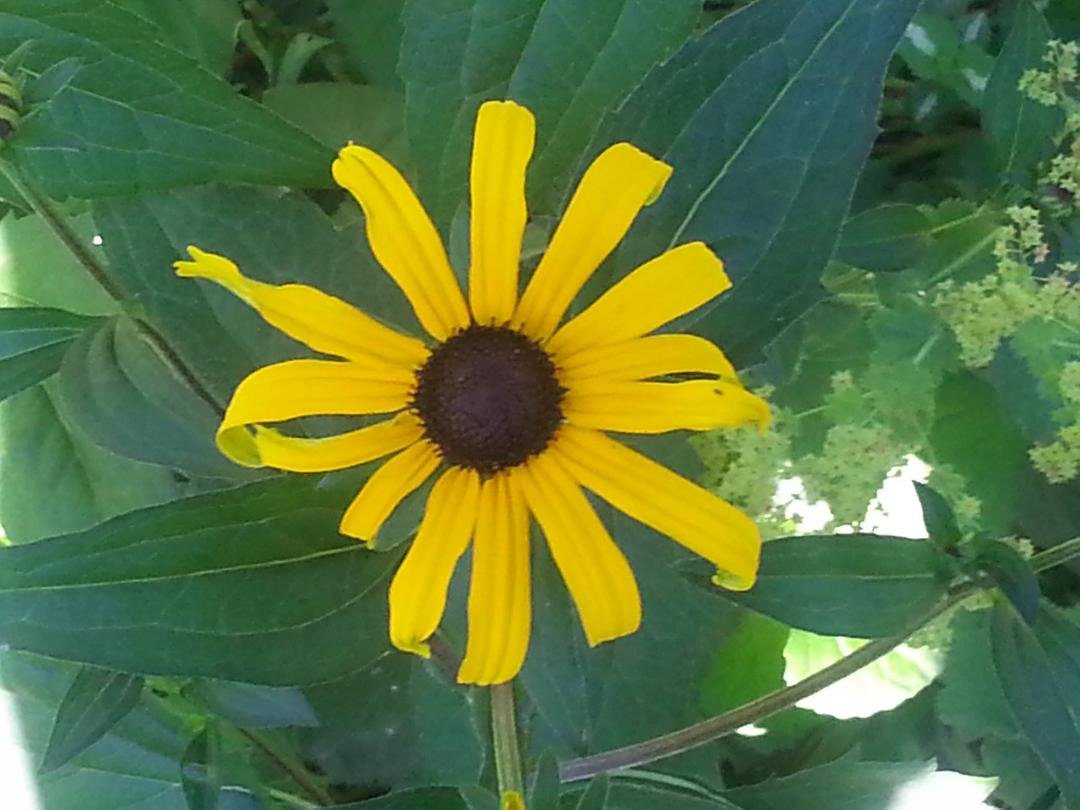 Susan Mallatratt's album, Timeline Photos