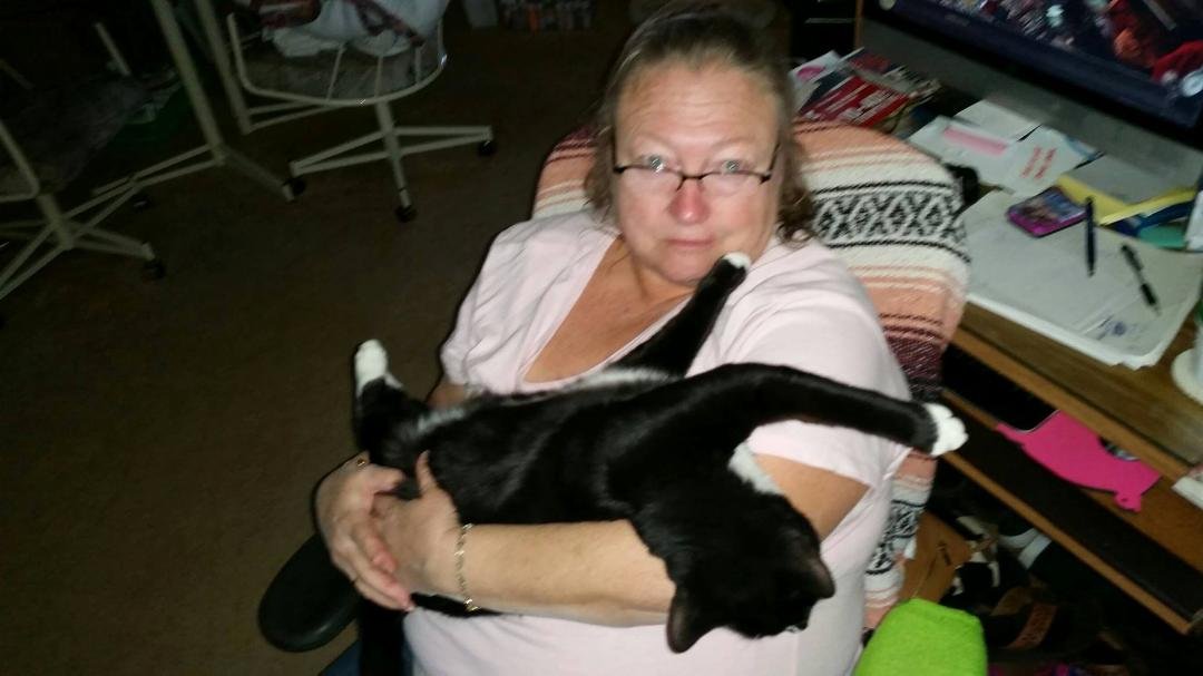 happy thanksgiving to all my family and friends. no caps the cat wont let me. he thinks hes a baby and wants to be held like one.
