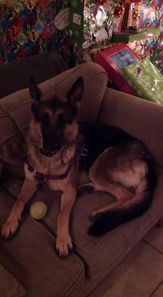 Bella waiting for Santa