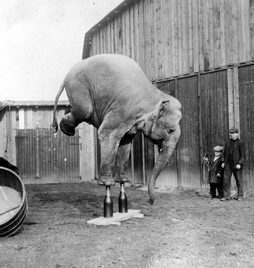 I will bet you can't do this.