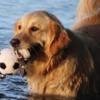 Lone Campbell's album, Timeline Photos