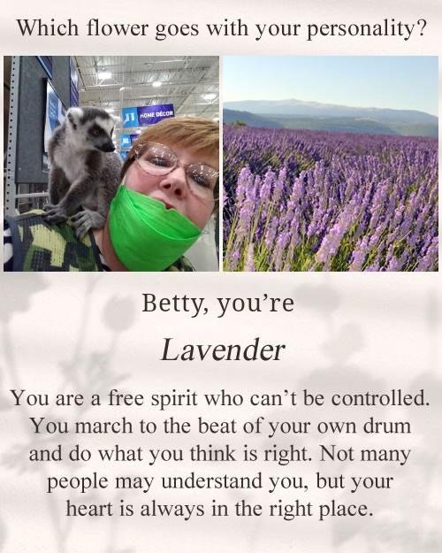 John Smith's album, Timeline photos