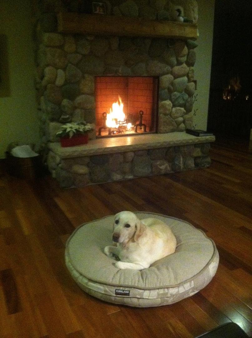 Cait is enjoying the new fireplace.