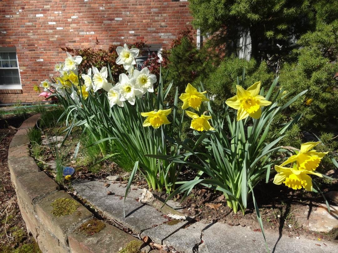 Doris Wiedmann's album, Timeline Photos