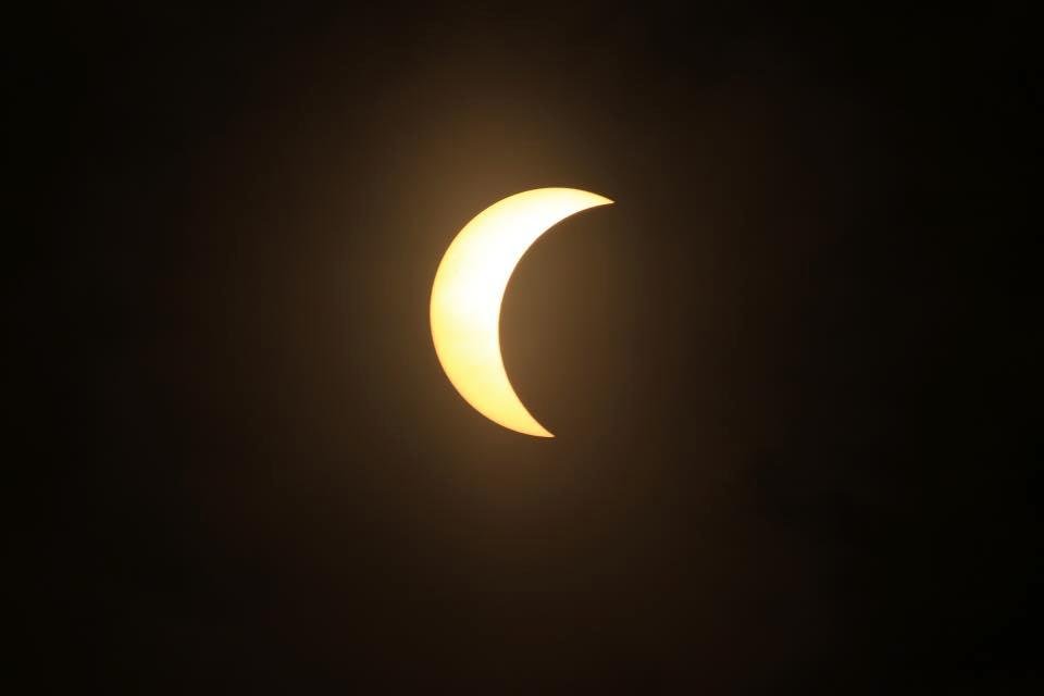 Michael Savage's album, Mobile Uploads