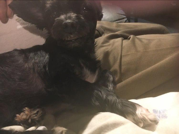 My Little Buddy Skipper