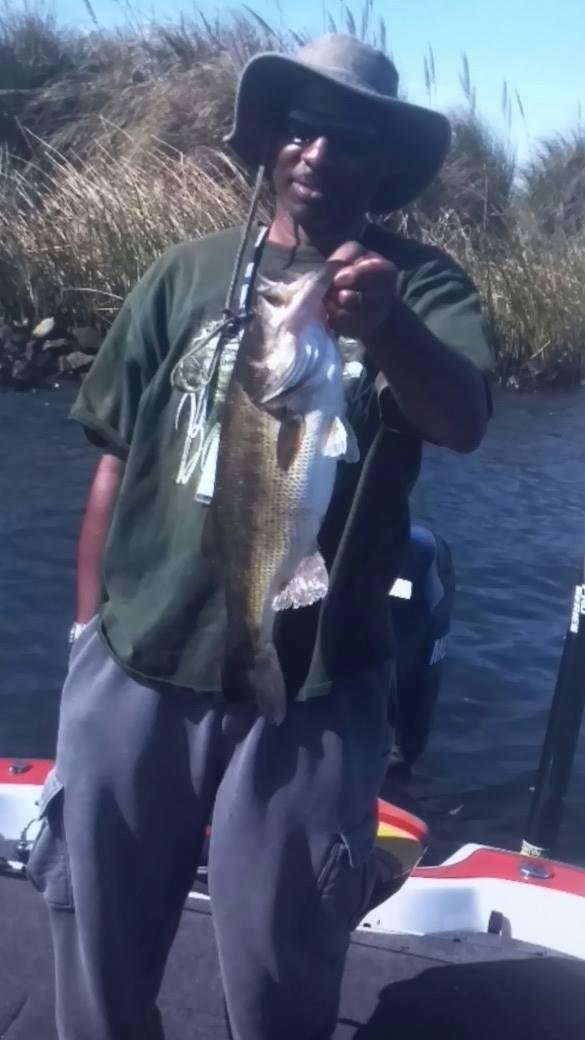 Same fish! Went fishing with a guide in the Delta.