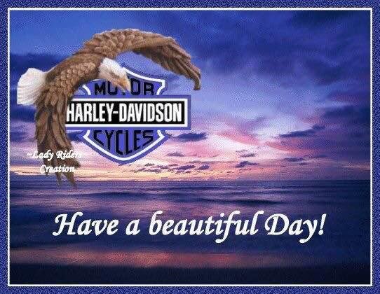 POAGS HOLE Hill Climb today ... have a great one🏍🏍🏍⛰
