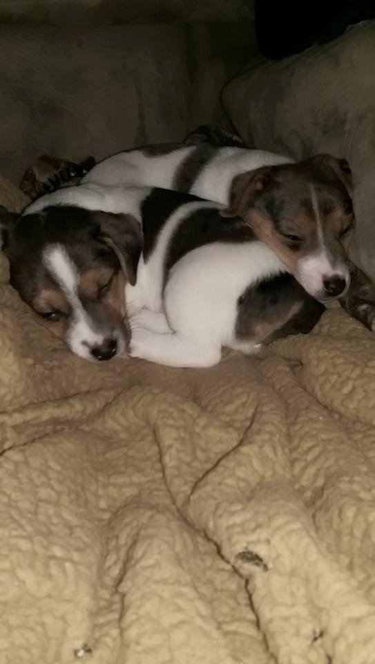 Eric Allison's album, Mobile Uploads