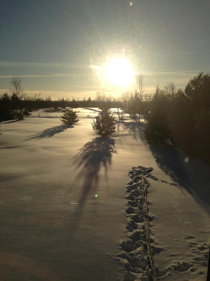Lots of snow from yesterday. This is my back yard.