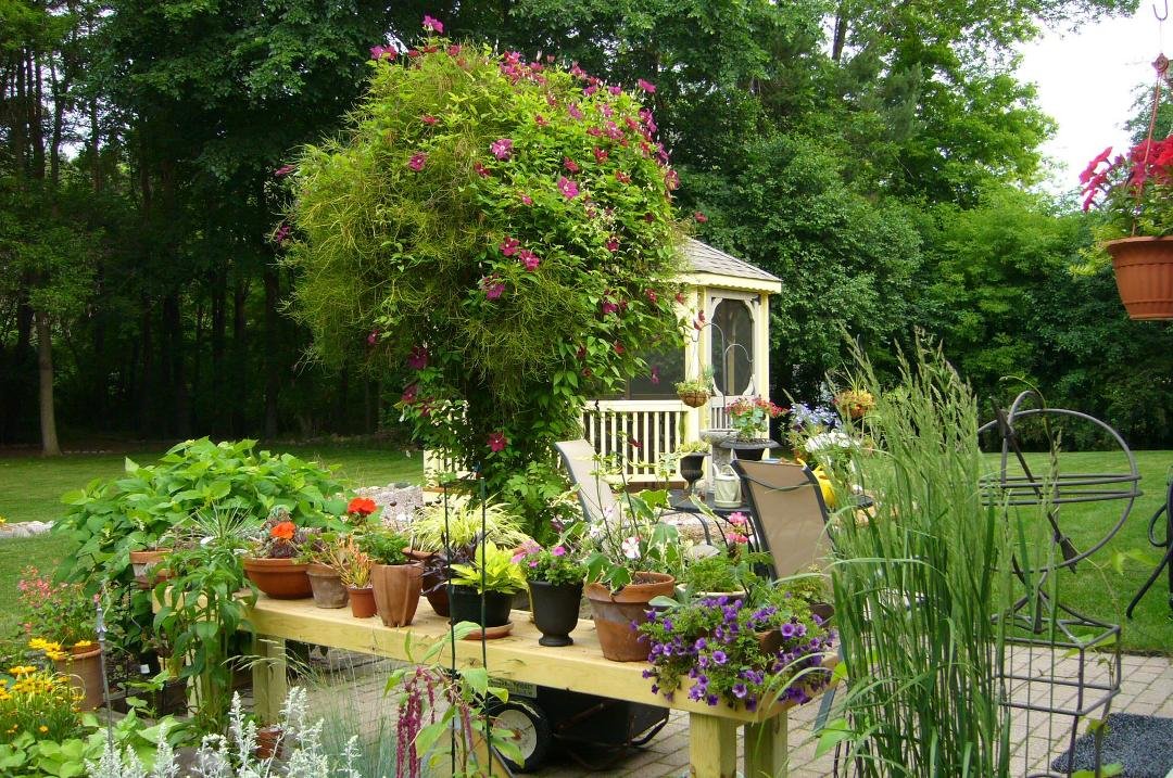 Pat Sharpe's album, Timeline Photos