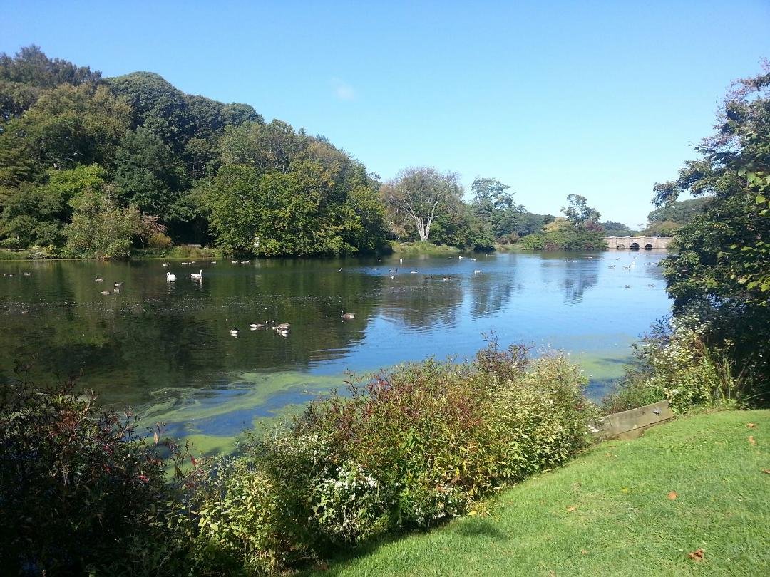 A sunny crisp fall day at the park.the birds, trees, calmness of the pond, majesty of the bridge and grist mill are paying homage to God.enjoy this great day.