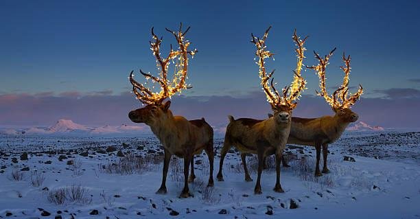 Merry Christmas to all my family and friends