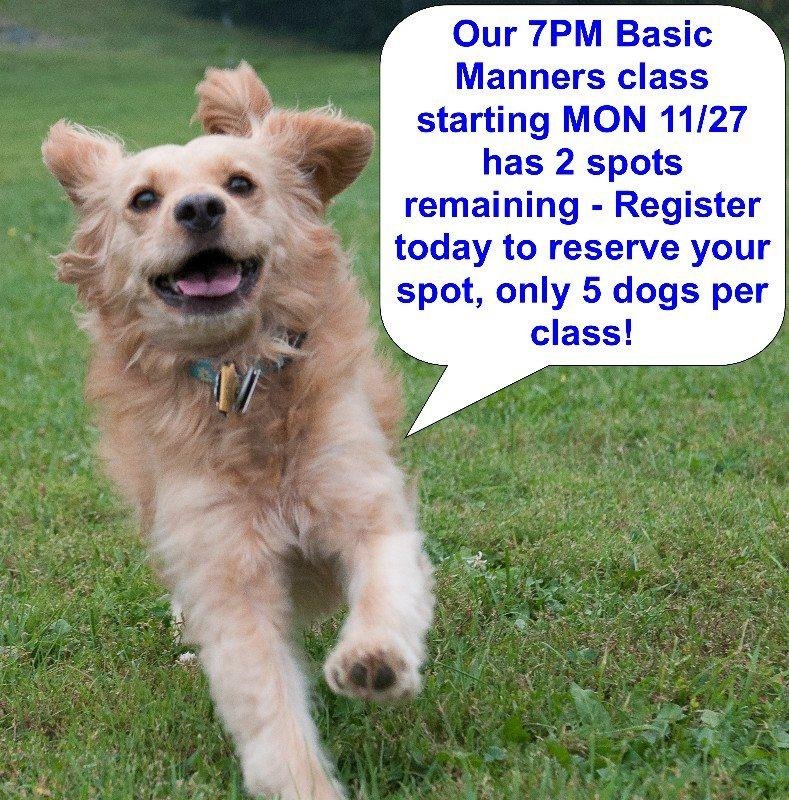 PLEASE SHARE: We have two spots left in the 7PM Basic Manners class starting MON 11/27 at Green Acres Kennel Shop
Basic Manners is the perfect class if you and your dog need some help in working through those “manners” iss
