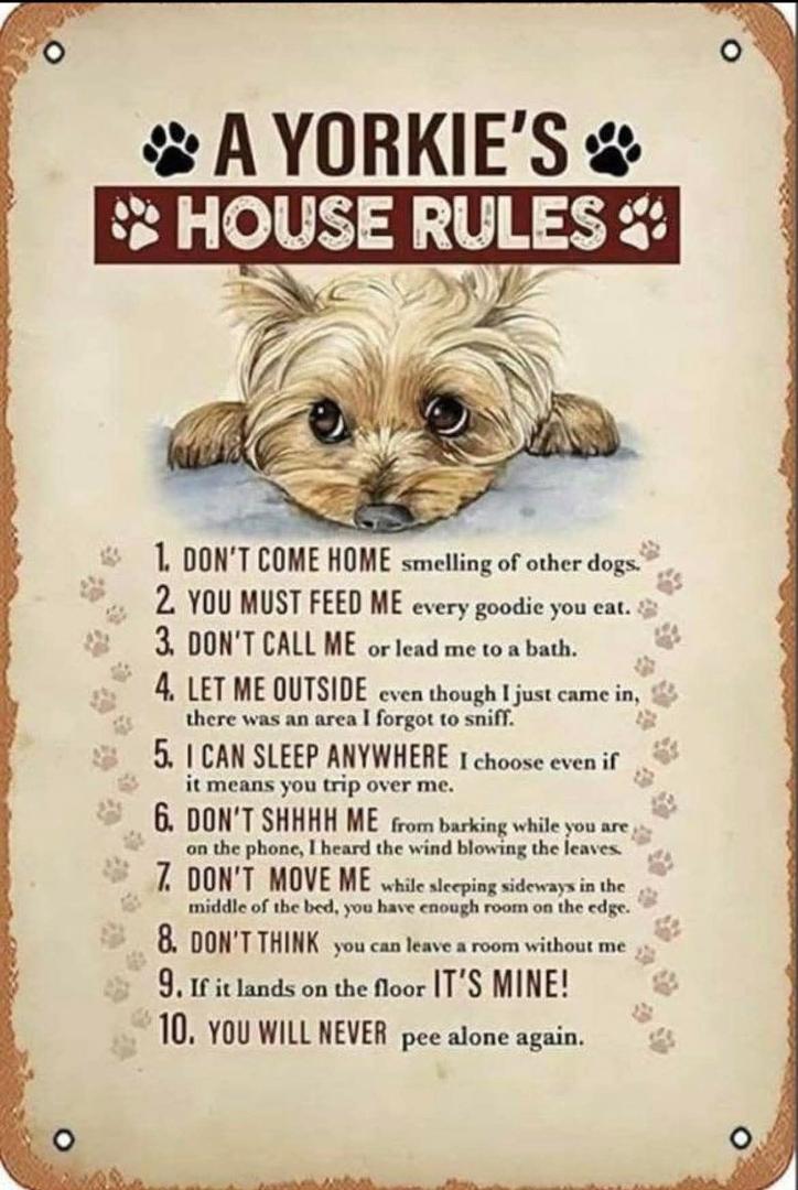 Sandra Parrish Tubb's album, Timeline photos