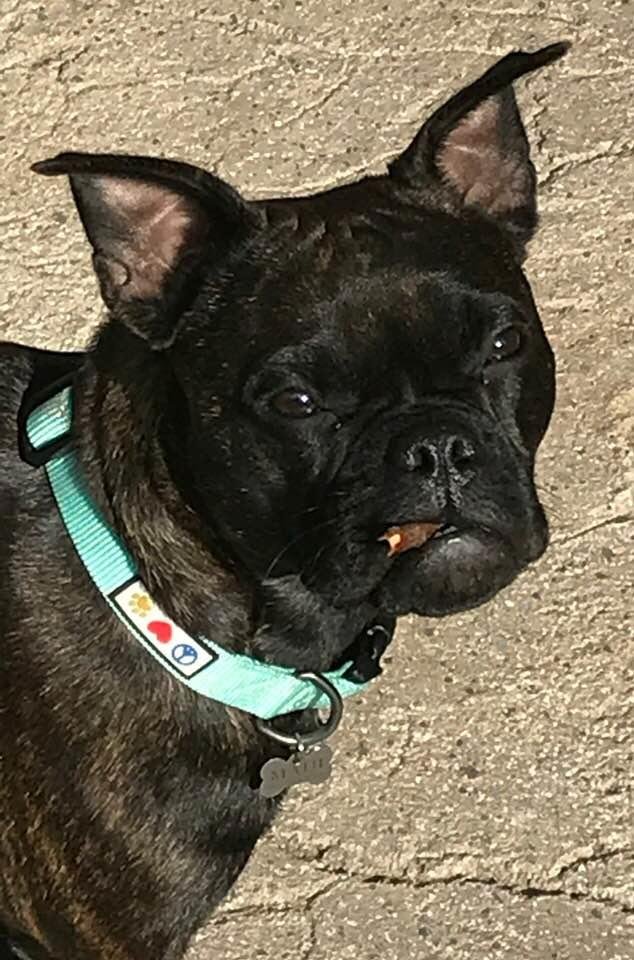 Somebody get me a beer to go with this stogie.