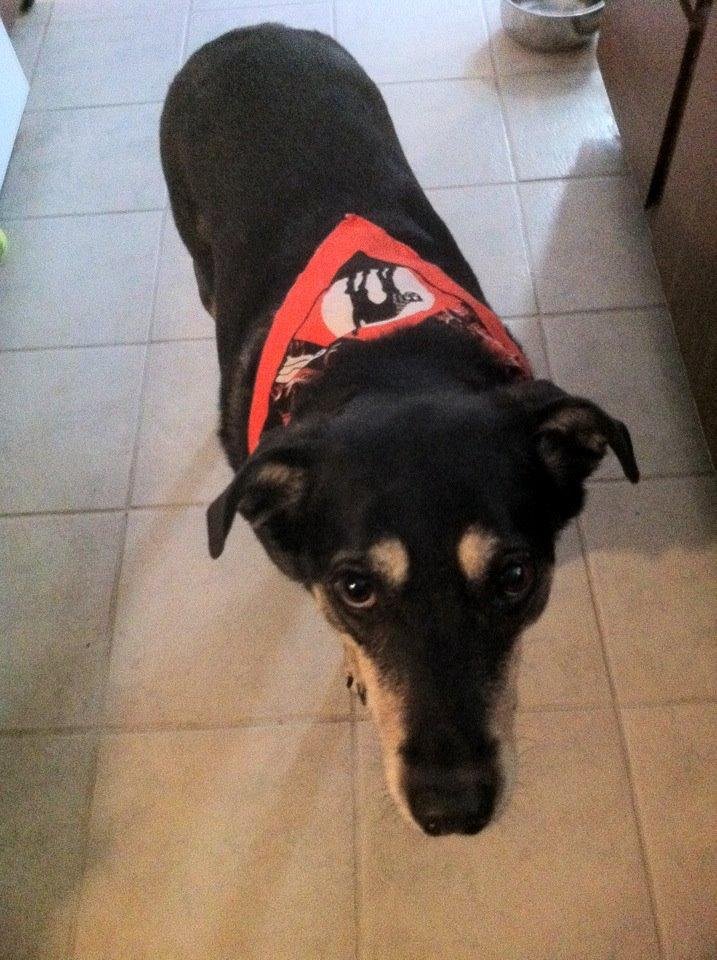 Elle is ready for Halloween fun !!!!
