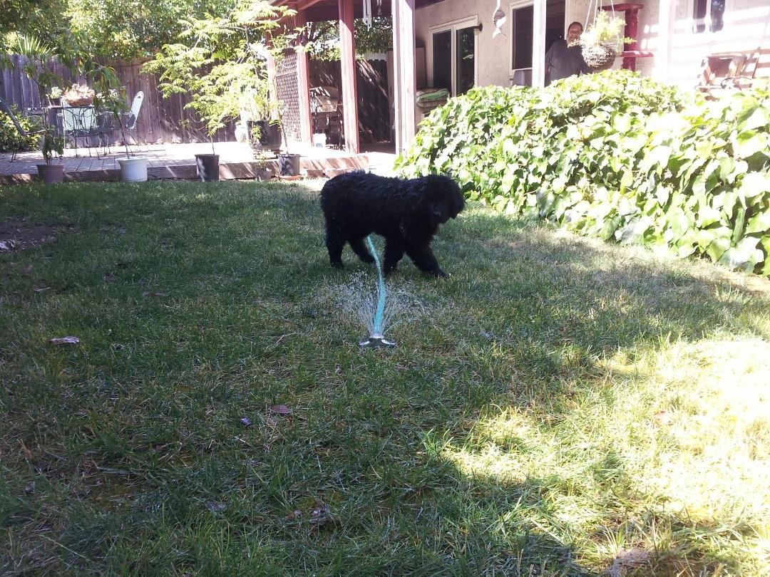 Dan Eckman's album, Mobile Uploads