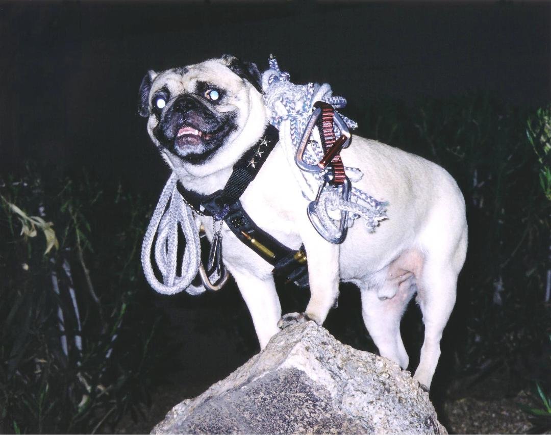 Gen. Vincent Thomas Pug
Retired, 172nd Stryker Combat Brigade