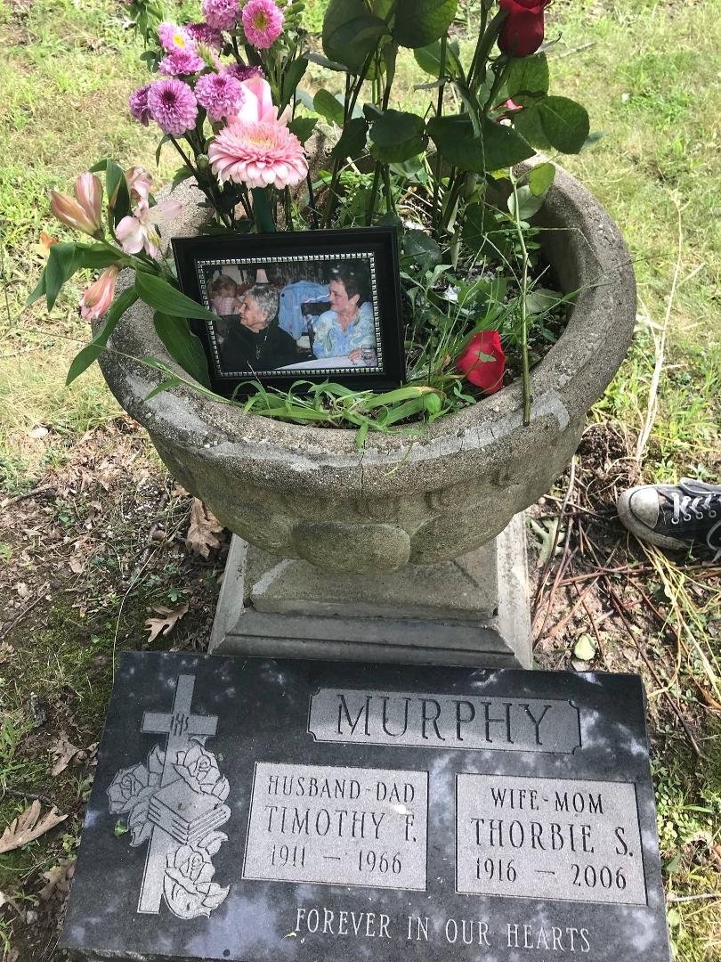 Daniel Murphy's album, Mobile uploads