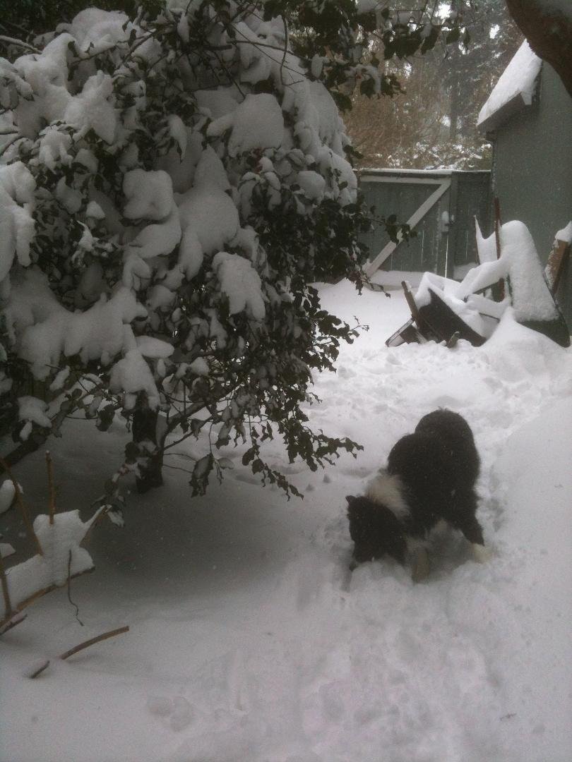 Mike Rabe's album, SNOW STORM 2014