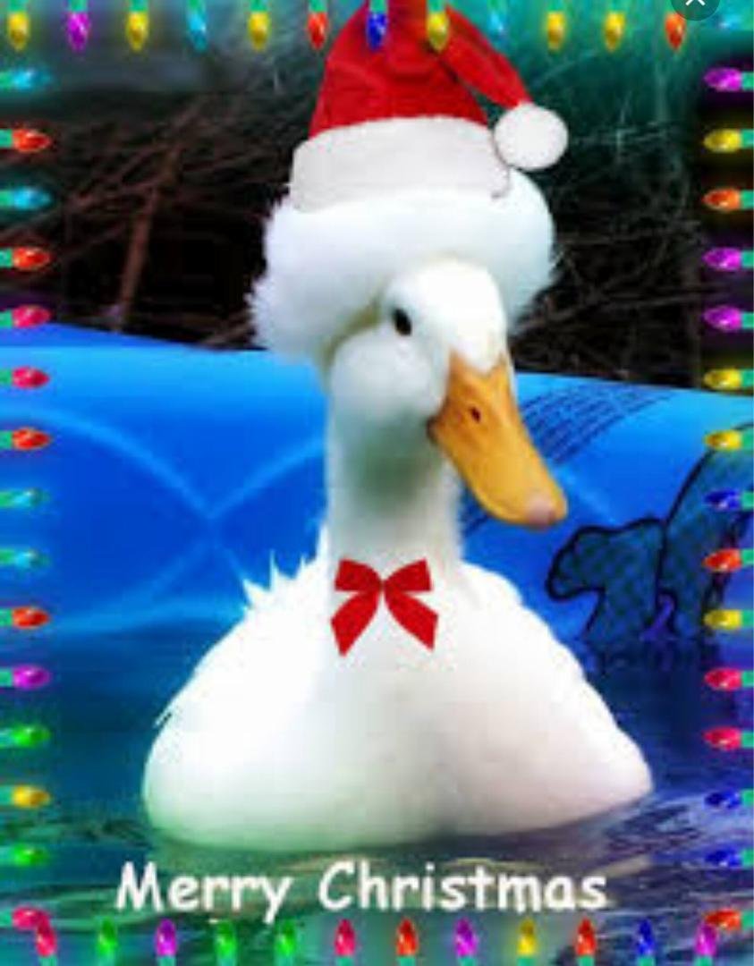 I am rocking this hat...