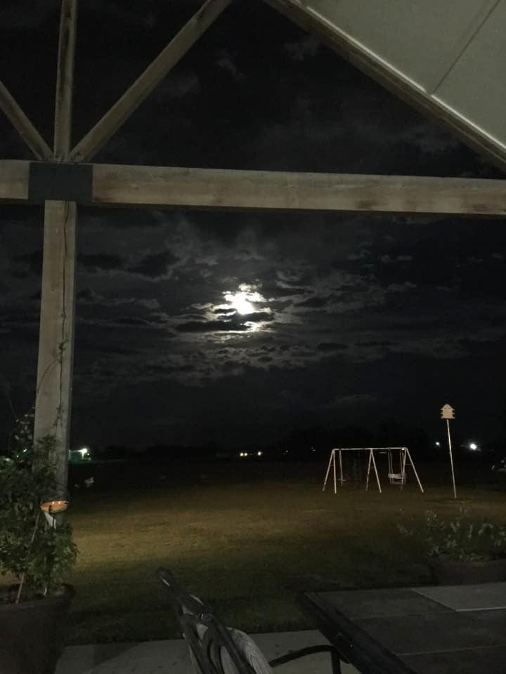 Such a beautiful evening!