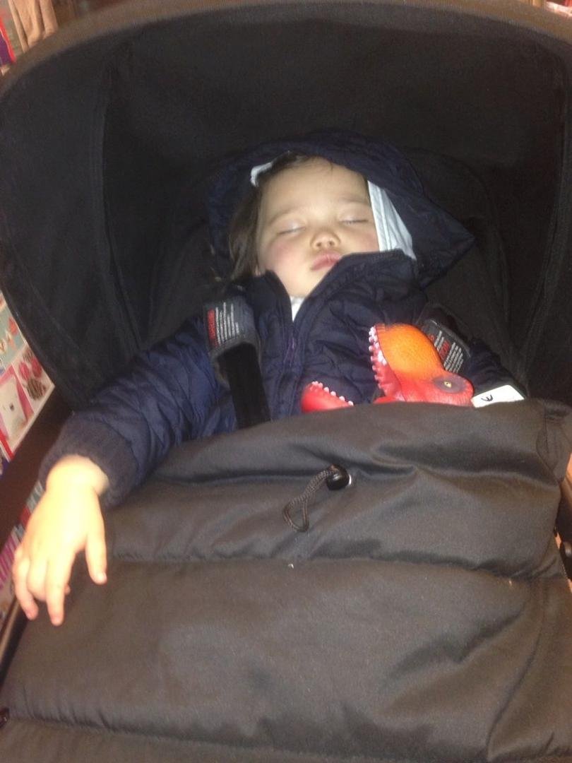 After a day at Museum of Natural History