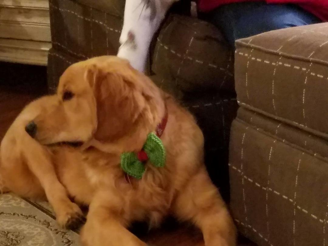 OK Santa I'm dressed and waiting!