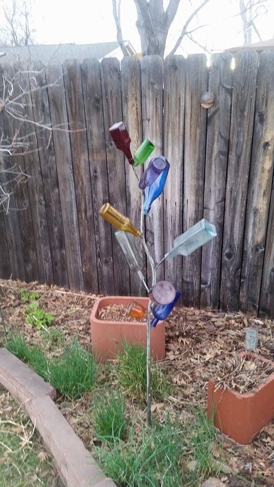 Tom, this is a better photo of the bottle tree.  It doesn't need much water to thrive!