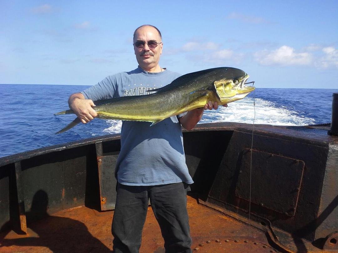 Caught today in route to Puerto Rico