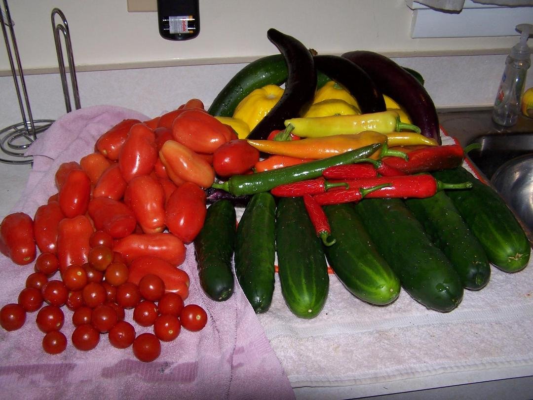 A quick run thru the garden, guess it will be a veggie weekend......