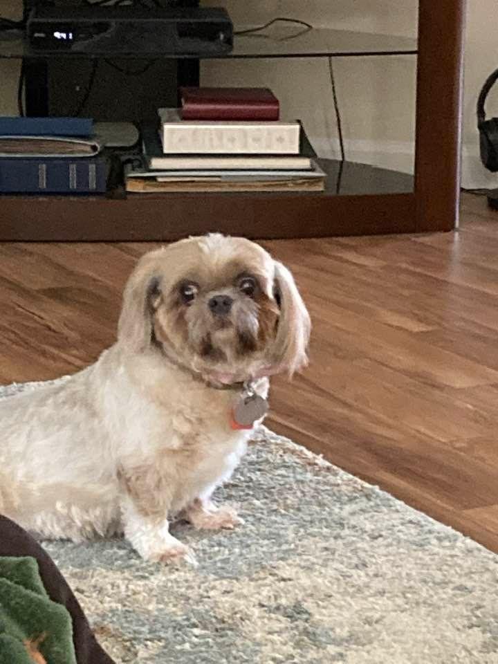 Our little one. We think she is awful special