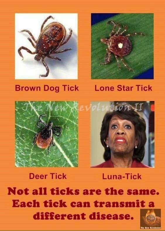 Bobby Putfark's album, Timeline Photos