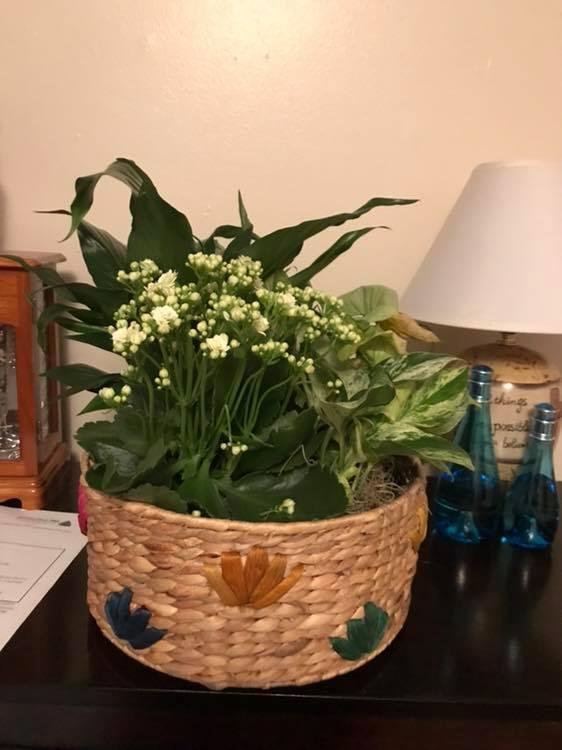 Thank you Judy Gunnufsen for the beautiful planter. Your friendship means so much to me. Love you my friend. ❤️🤗
