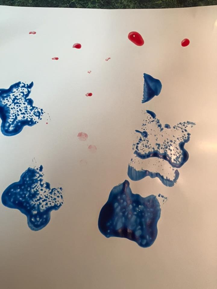 Butterfly sponge!