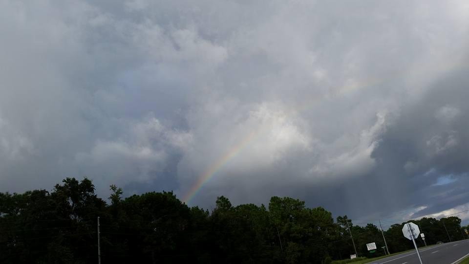 The picture does not due the rainbow justice. There was actually another duller version over this one. It was awhile before I could pull over to get a pic. On the road in FL.