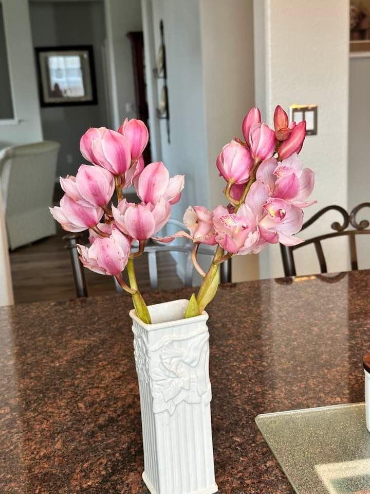 More Orchids this year. My orchid plants are over 20 years old. They bloom every year.