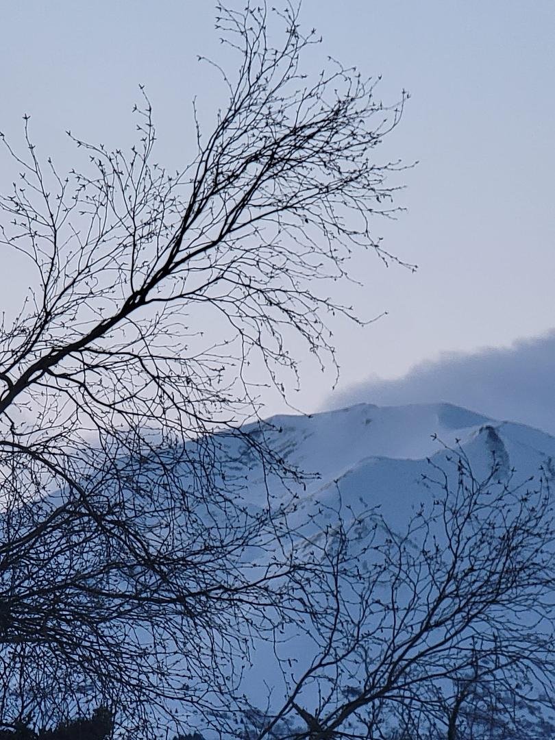 Good Morning.
It might interest you to know that
after Spring sprang it sprung.
Calm, mostly clear, 20*, projected high of 38*, 12 hrs 13 min 49 sec of sunlight. Still lots of snow to melt up here. When it's gone it's a