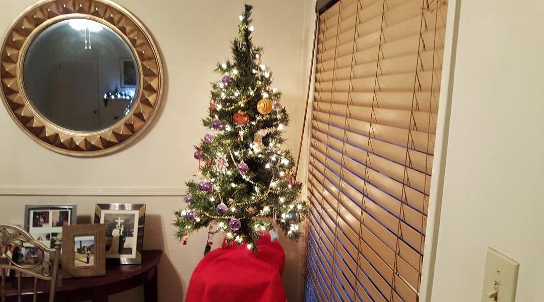 Baby Christmas tree