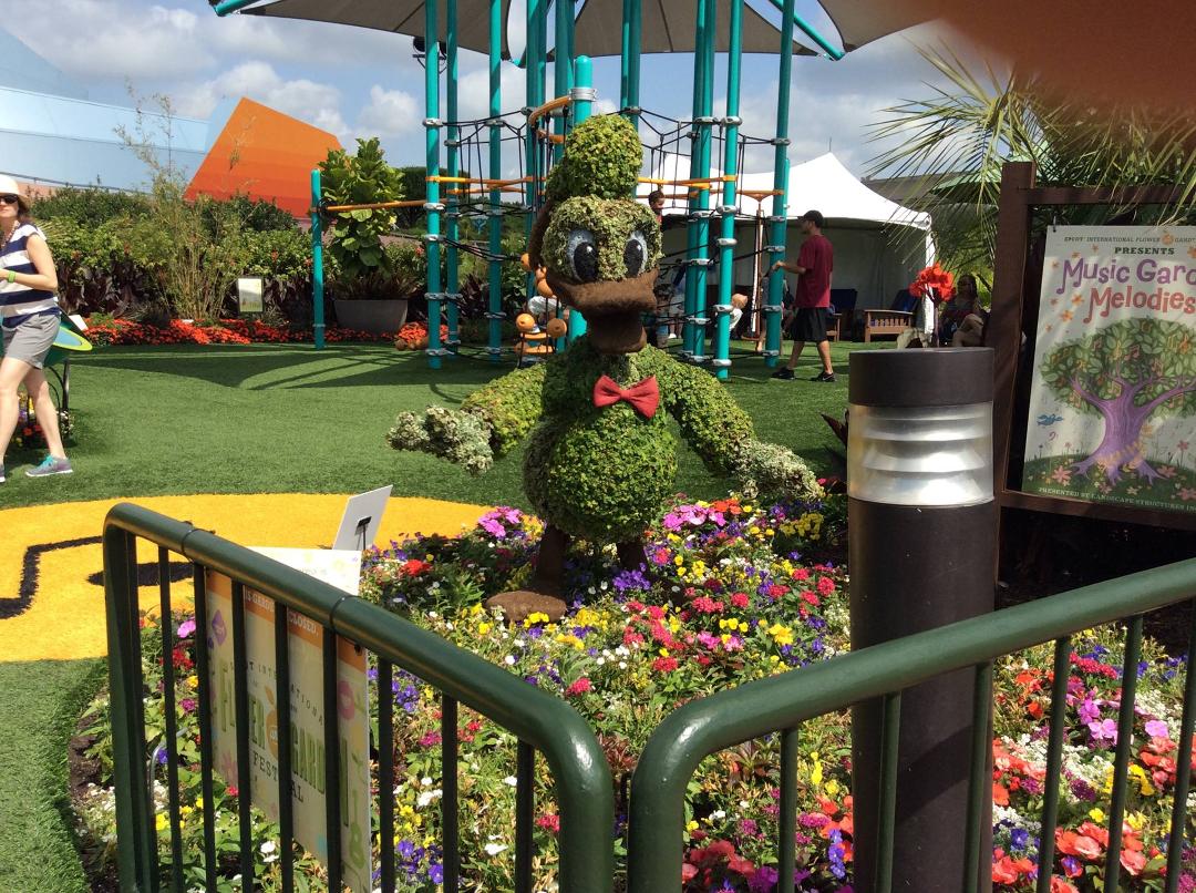 Great thing about having Disney in our backyard is getting to visit Epcot flower show.