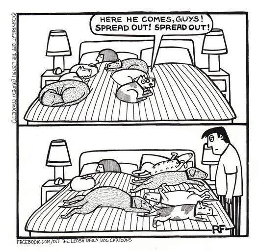 Ann Freimuth's album, Timeline photos