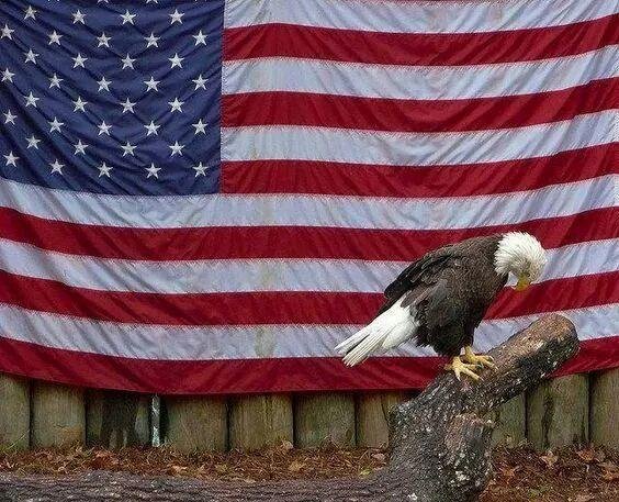 GOD BLESS AMERICAN , AMEN