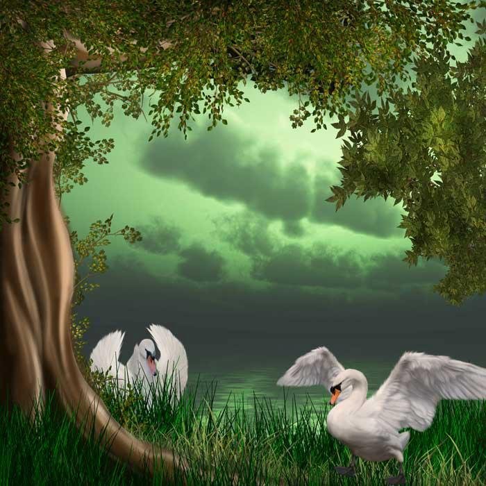 "Two Swans" puzzle, from http://puzzledhearts.com/ph?pid=two_swans