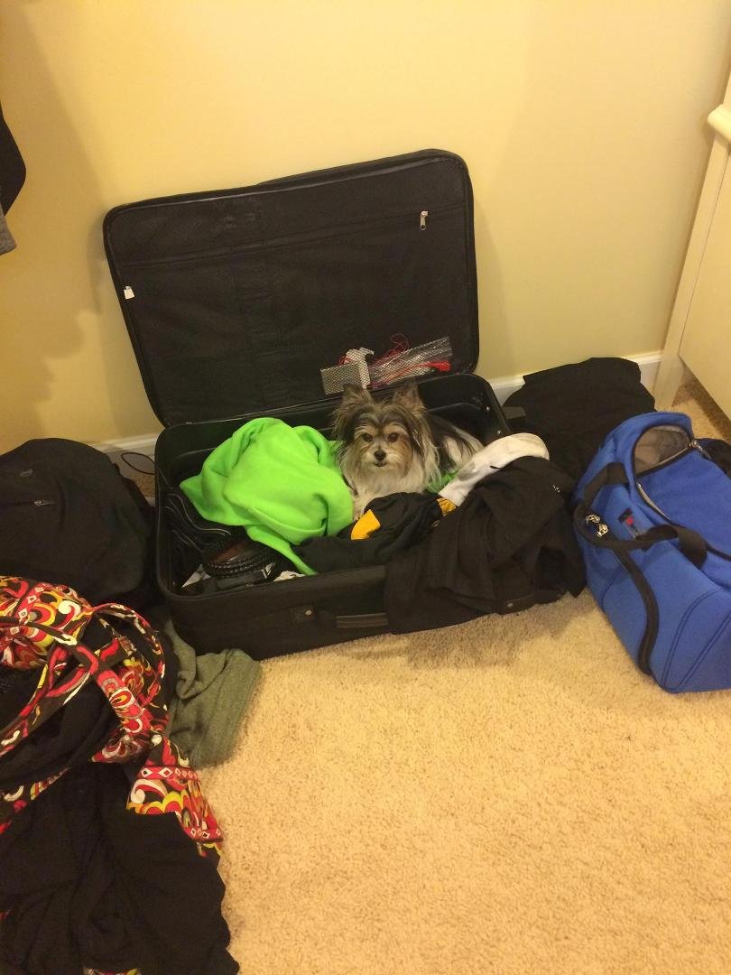 I'm going on vacation
