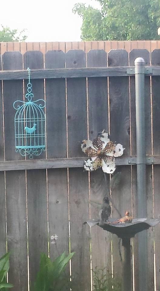 One of my cardinals and a crow taking a bath in my birdbath. Both my cardinals and my Bluejays were there a minute ago. I love watching them.