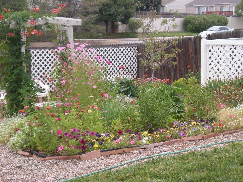 Alan Cunningham's album, our backyard  9-14-2011