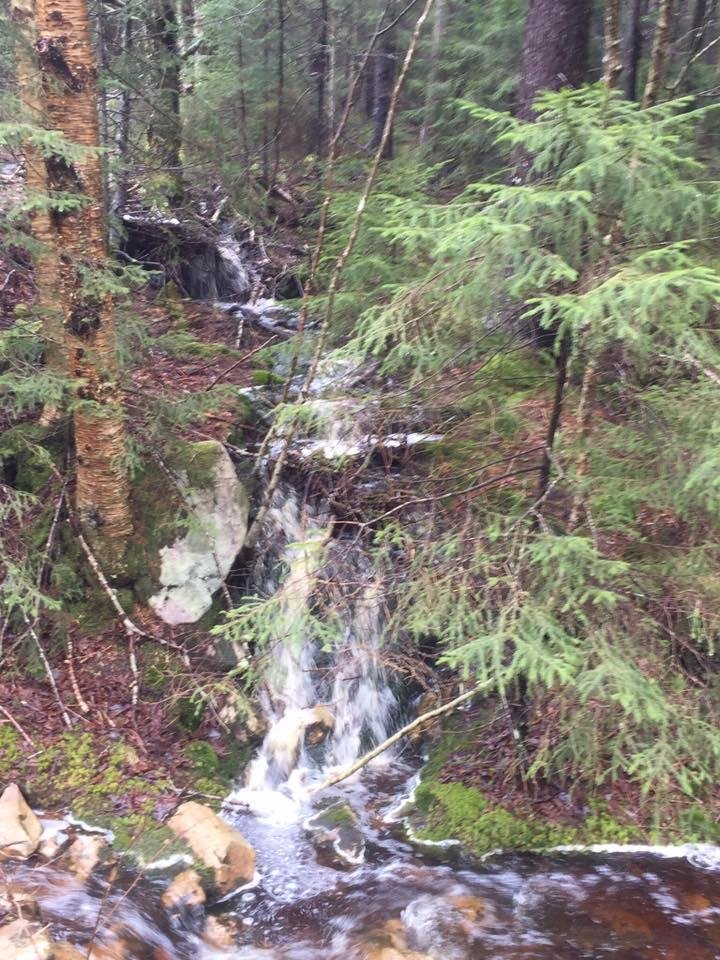 Our trip to West Virginia.