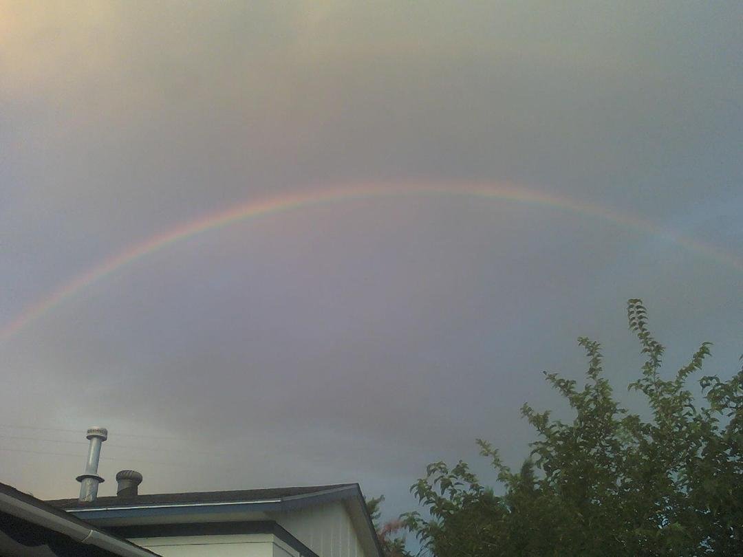 I awoke to this beautiful sight, a rare early morning rainbow...September is beginning with a very good sign