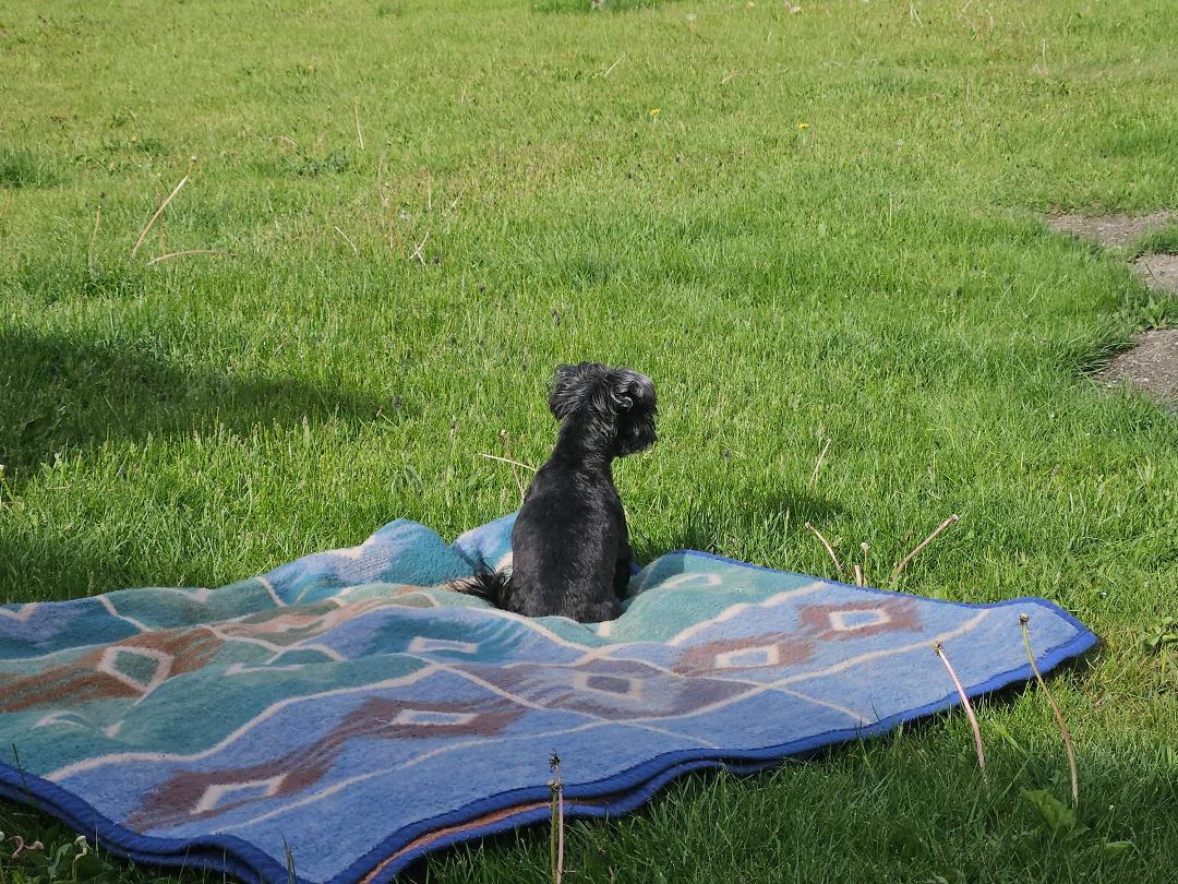 Ruby's magic carpet ride. Lol